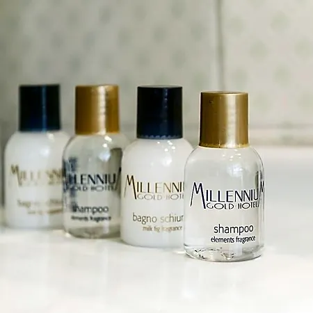Hotel Millennium Gold